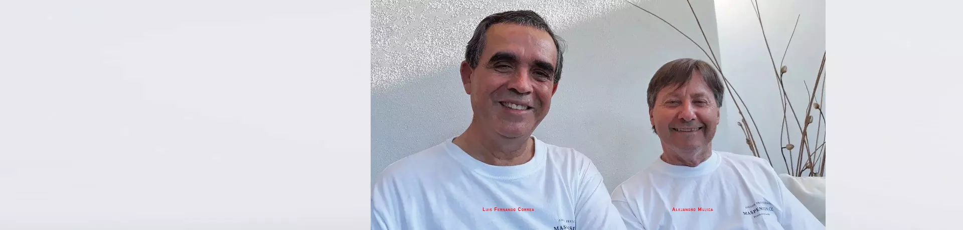 images alejandro mujica luis correa asesores previsionales