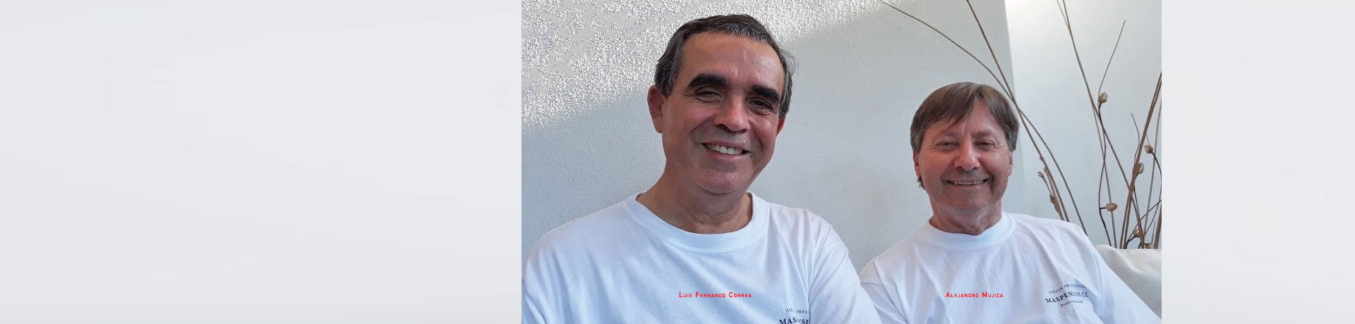 images alejandro mujica luis correa asesores previsionales