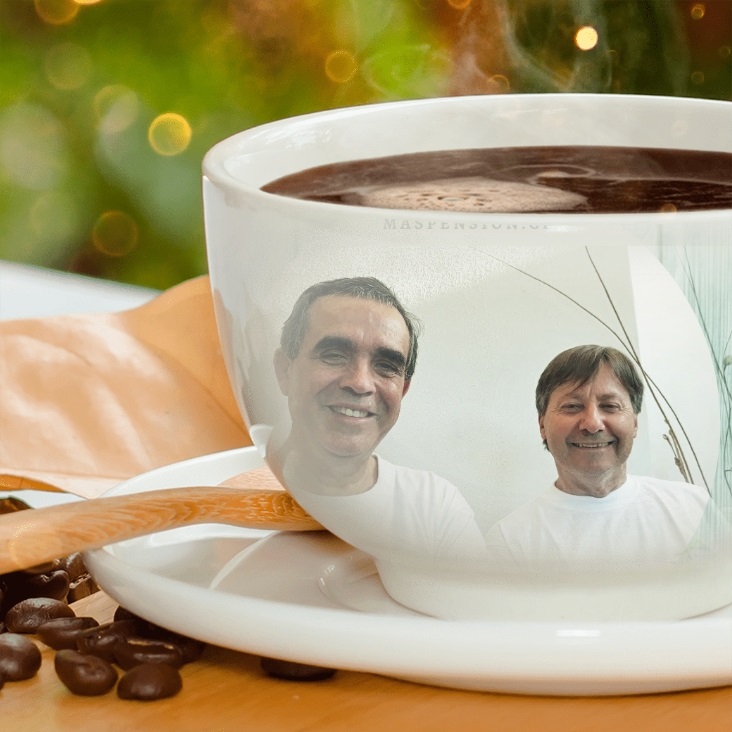 renta vitalicia simple chile